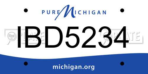 IBD5234 Michigan License Plate