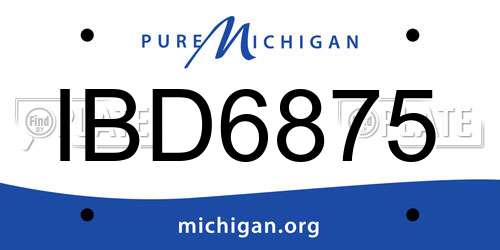 IBD6875 Michigan License Plate