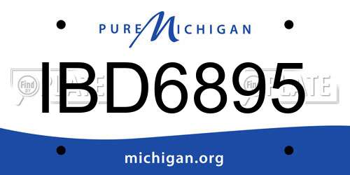 IBD6895 Michigan License Plate
