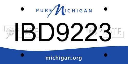 IBD9223 Michigan License Plate