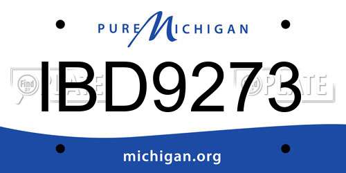 IBD9273 Michigan License Plate