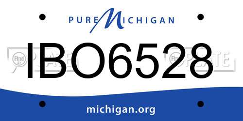 IBO6528 Michigan License Plate