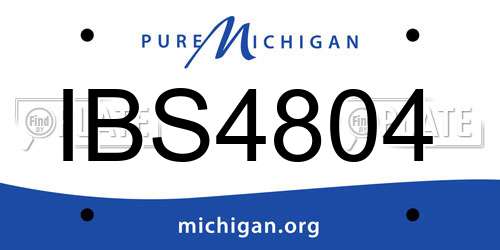 IBS4804 Michigan License Plate