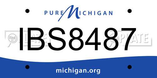 IBS8487 Michigan License Plate