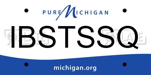 IBSTSSQ Michigan License Plate
