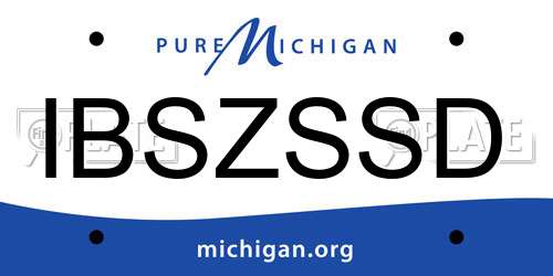 IBSZSSD Michigan License Plate
