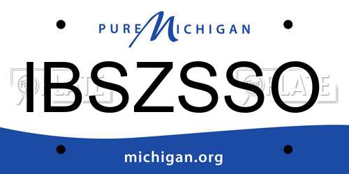 IBSZSSO Michigan License Plate
