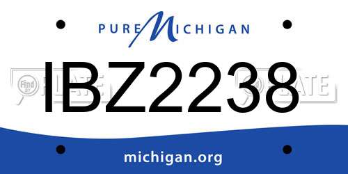 IBZ2238 Michigan License Plate