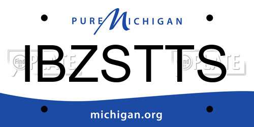 IBZSTTS Michigan License Plate