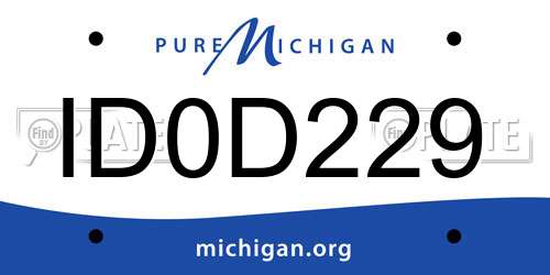 ID0D229 Michigan License Plate