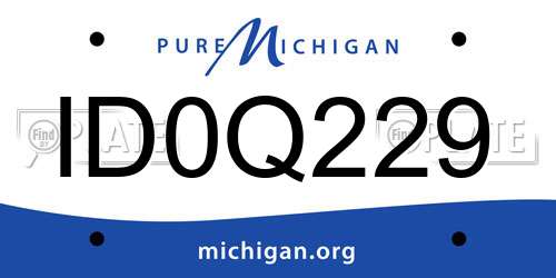 ID0Q229 Michigan License Plate