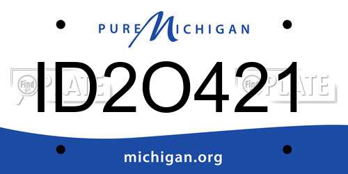 ID2O421 Michigan License Plate