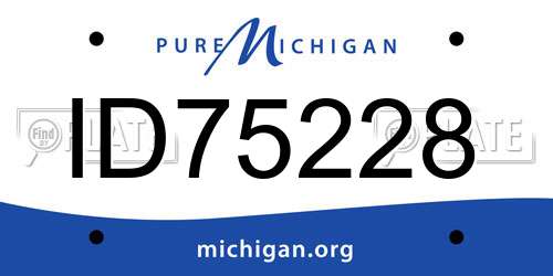 ID75228 Michigan License Plate