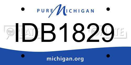 IDB1829 Michigan License Plate