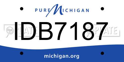 IDB7187 Michigan License Plate