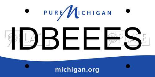 IDBEEES Michigan License Plate