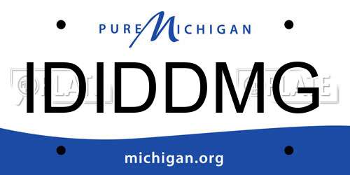 IDIDDMG Michigan License Plate