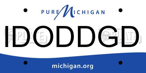 IDODDGD Michigan License Plate