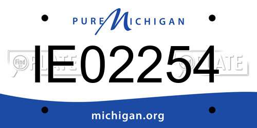 IE02254 Michigan License Plate