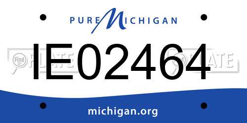 IE02464 Michigan License Plate