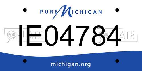 IE04784 Michigan License Plate