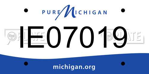 IE07019 Michigan License Plate