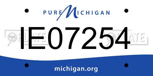 IE07254 Michigan License Plate