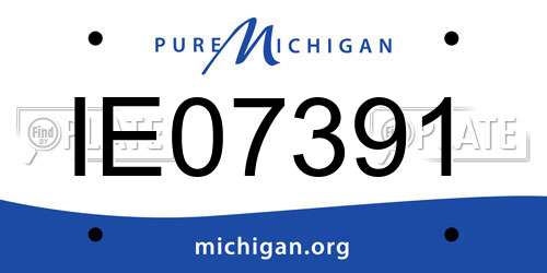 IE07391 Michigan License Plate