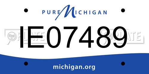 IE07489 Michigan License Plate