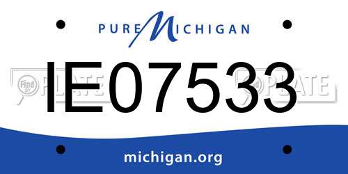 IE07533 Michigan License Plate