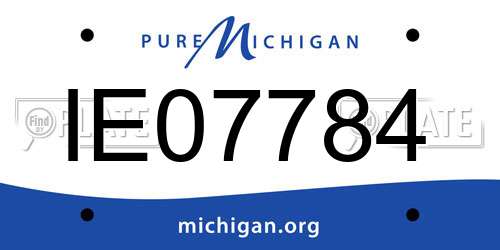 IE07784 Michigan License Plate
