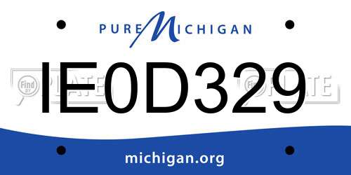 IE0D329 Michigan License Plate