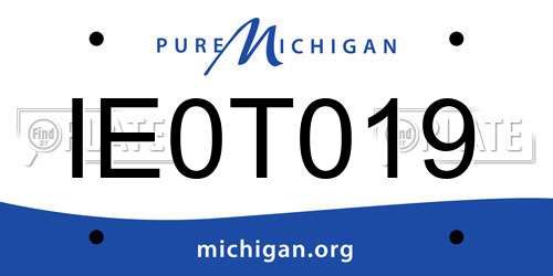 IE0T019 Michigan License Plate