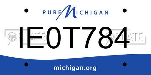 IE0T784 Michigan License Plate