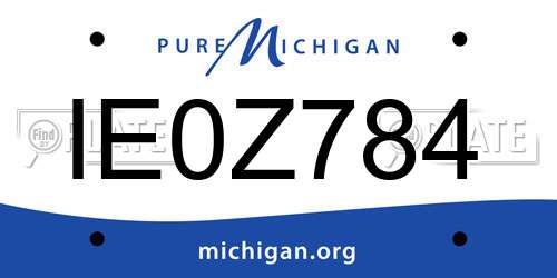 IE0Z784 Michigan License Plate