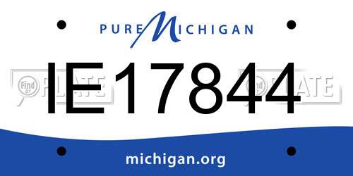 IE17844 Michigan License Plate