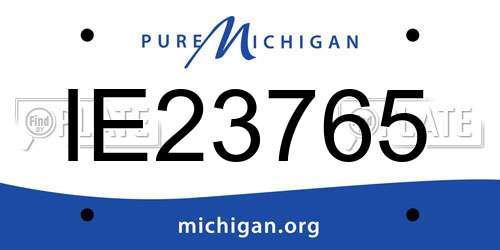 IE23765 Michigan License Plate