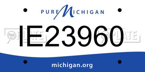 IE23960 Michigan License Plate