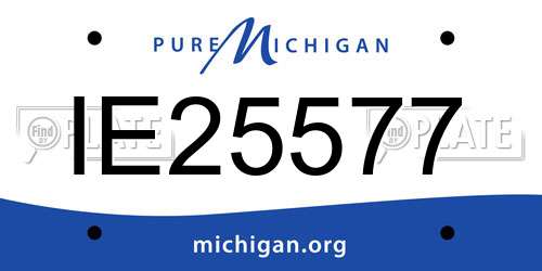 IE25577 Michigan License Plate