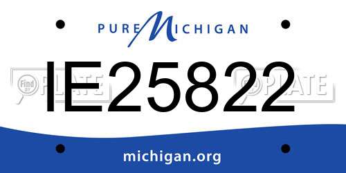 IE25822 Michigan License Plate