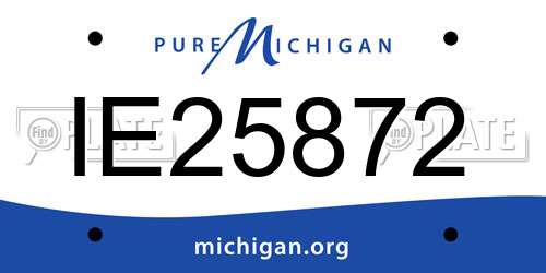 IE25872 Michigan License Plate