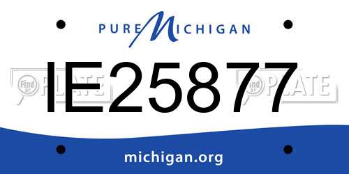 IE25877 Michigan License Plate