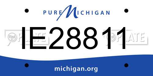 IE28811 Michigan License Plate
