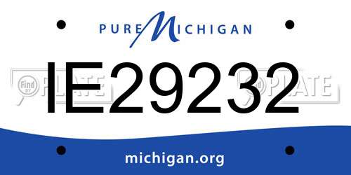 IE29232 Michigan License Plate