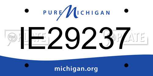 IE29237 Michigan License Plate