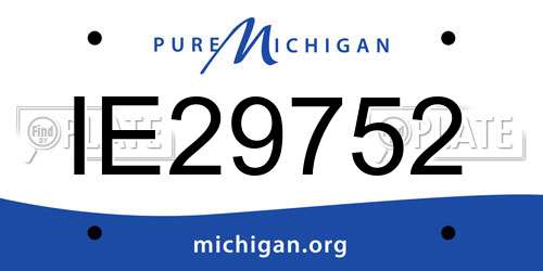 IE29752 Michigan License Plate