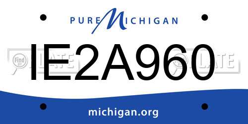 IE2A960 Michigan License Plate