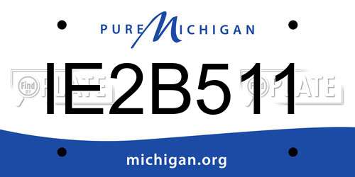 IE2B511 Michigan License Plate