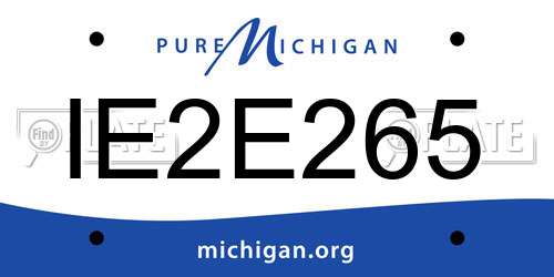 IE2E265 Michigan License Plate