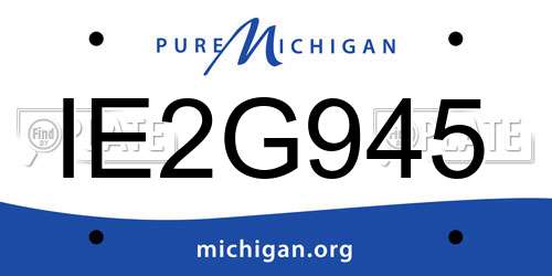 IE2G945 Michigan License Plate